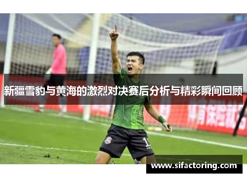 新疆雪豹与黄海的激烈对决赛后分析与精彩瞬间回顾