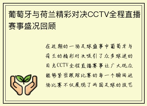 葡萄牙与荷兰精彩对决CCTV全程直播赛事盛况回顾