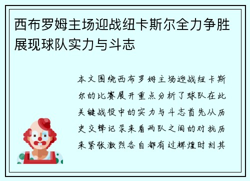 西布罗姆主场迎战纽卡斯尔全力争胜展现球队实力与斗志